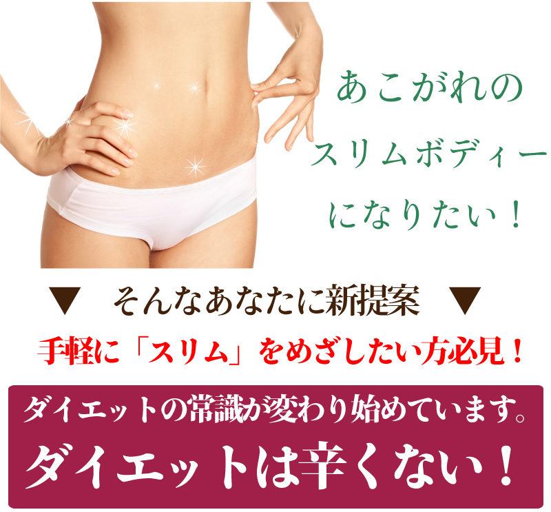 憧れのスリムボディーになりたいあなたに新提案