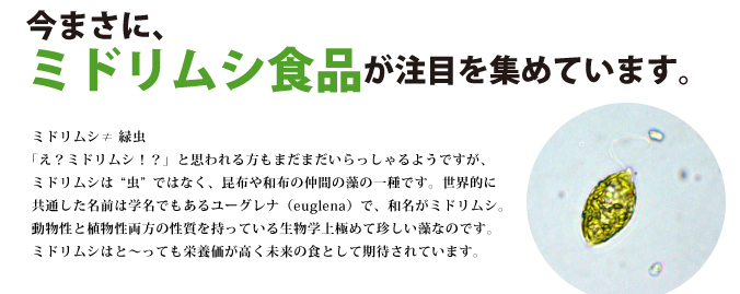 ミドリムシ食品が注目をあつめています。