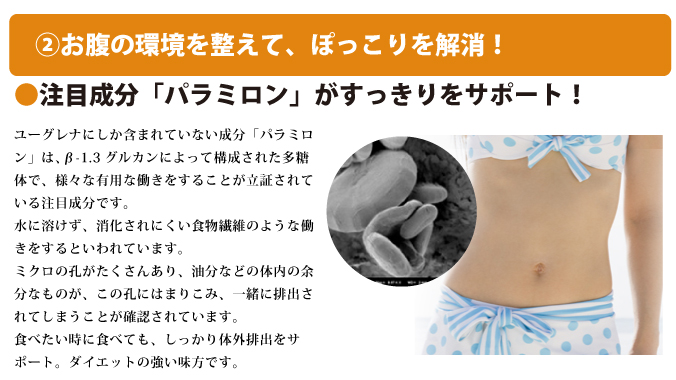 注目成分パラミロンでダイエット、おなかすっきり