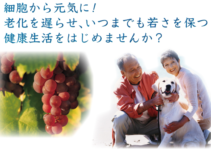 細胞から元気に!いつまでも若さを保つ健康生活をはじめませんか