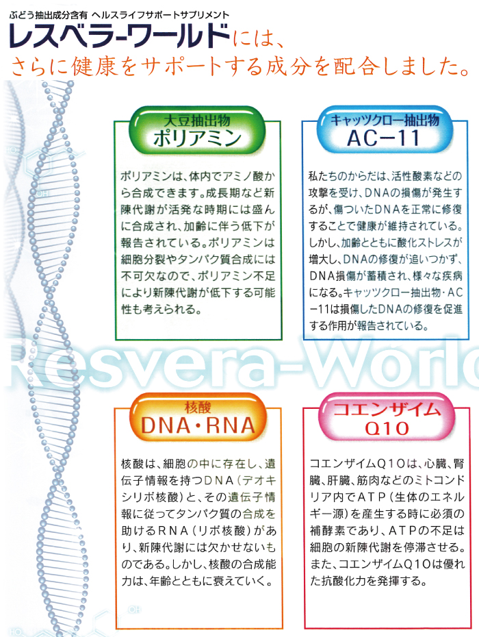 レスベラワールドには健康をサポートする成分である ポリアミン AC-11 DNA・RNA コエンザイムQ10が配合