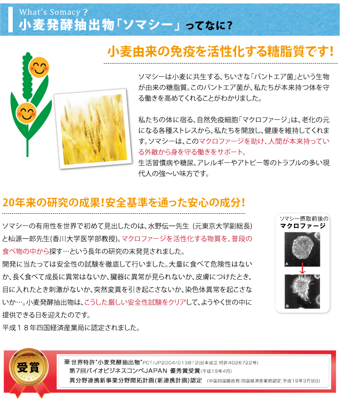 小麦発酵抽出物ソマシーでマクロファージをサポート