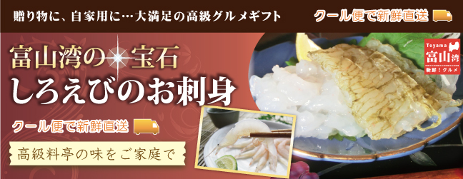 しろえびのお刺身